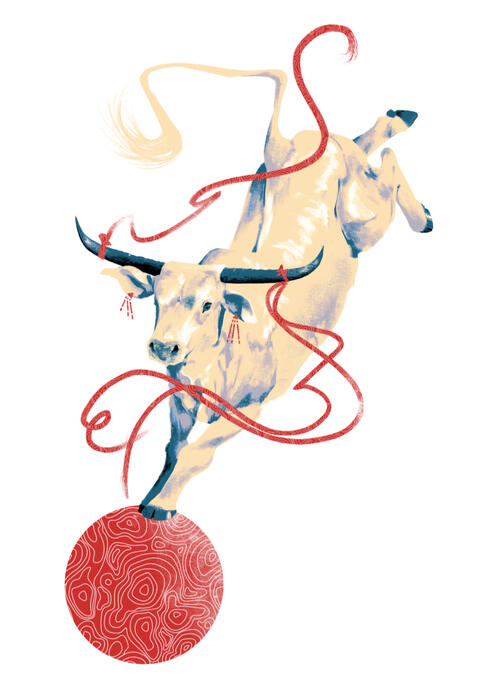 Bumbá 02 - Maio/2023