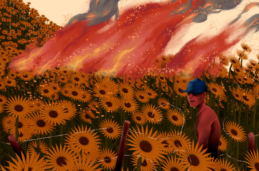 Reviravolta - Junho/2020